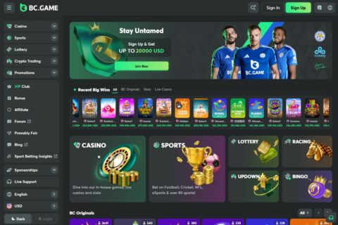 Plongée dans l'univers du Bc Game Casino  un incontournable des jeux d'argent en ligne
