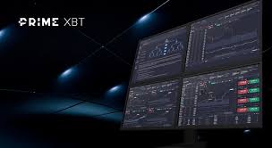 Understanding the PrimeXBT Team Pioneers in Crypto Trading Understanding the PrimeXBT Team Pioneers in Crypto Trading